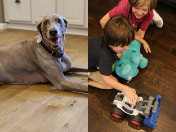 Durable Pet and Family friendly flooring
